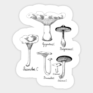 Wild Mushroom | For Fungi Foraging Fungiphiles Sticker